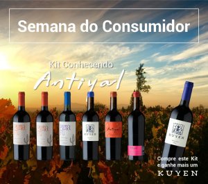 Foto do vinho Kit Antiyal – Conhecendo o Produtor