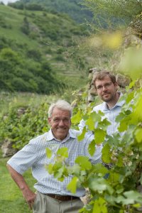 Weingut Knoll: O Ícone da Viticultura da Austria 1