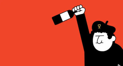 Os vinhos Mâconnais podem rivalizar com os melhores da Borgonha?