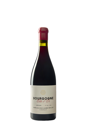 Bourgogne Côte d’Or Pinot Noir