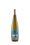 Pinot Gris “Un Certain Regard”